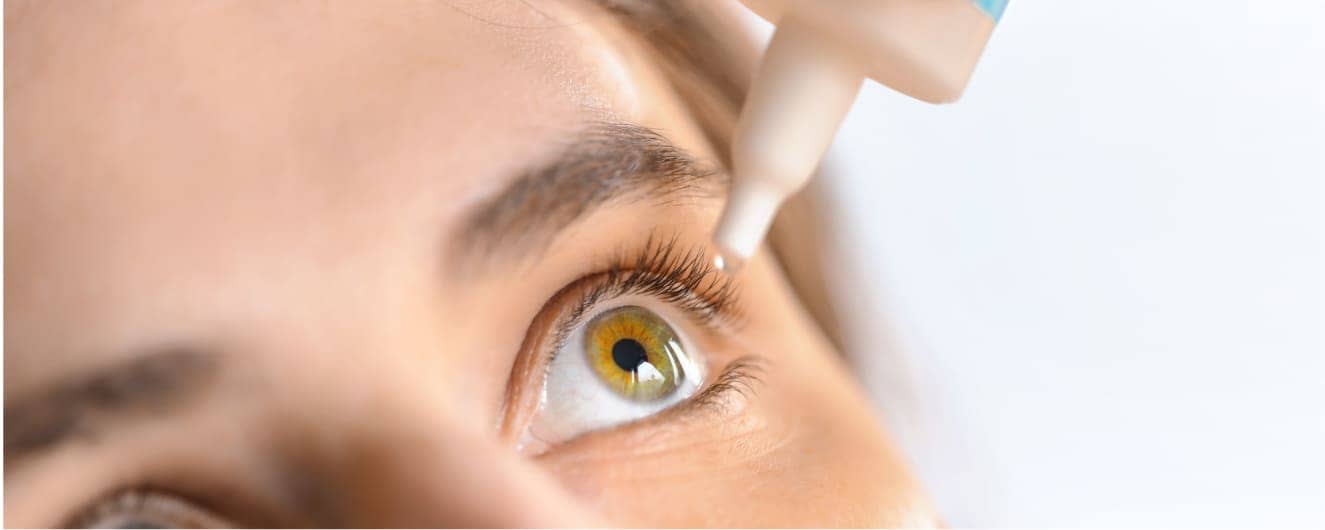 Imagem: Shutterstock.com