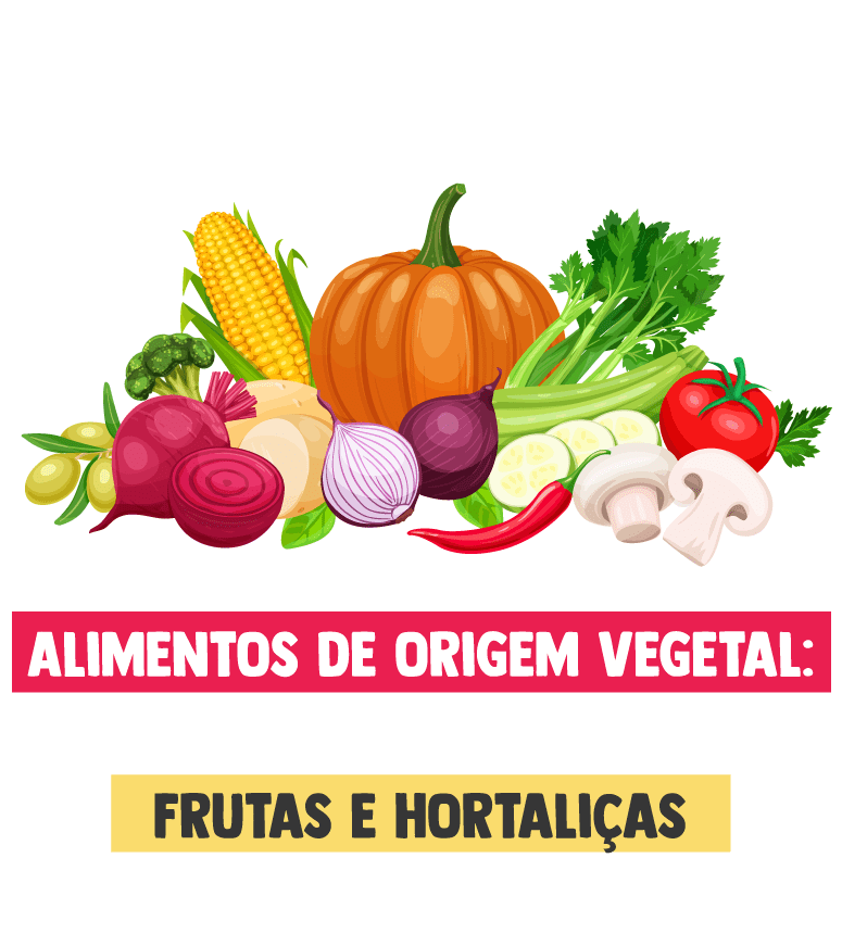 Alimentos de origem vegetal: cereais, leguminosas, frutas e hortaliças