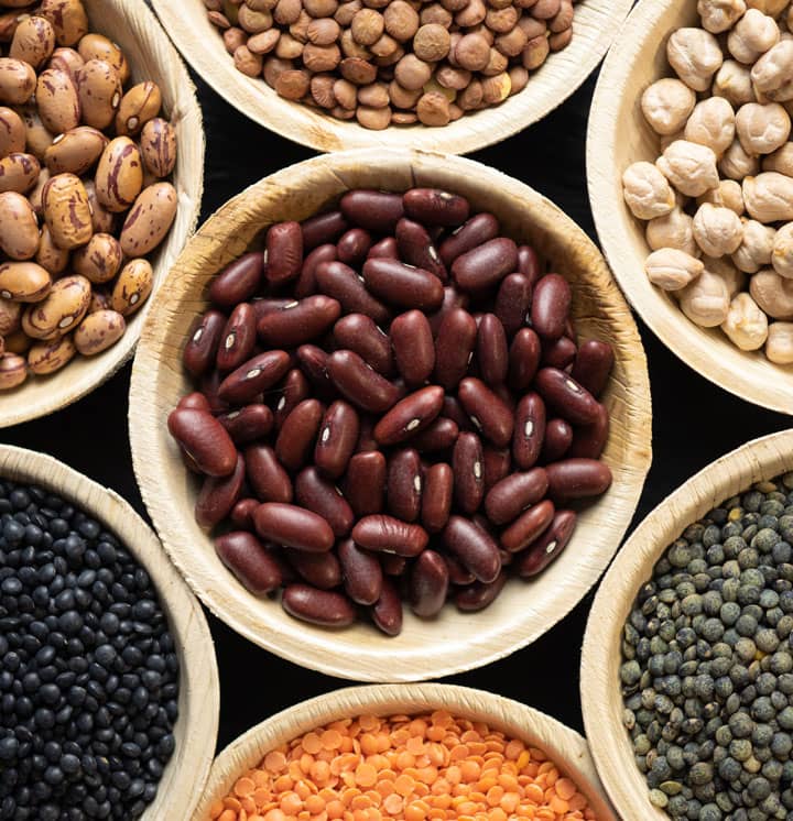 Alimentos de origem vegetal: cereais, leguminosas, frutas e hortaliças