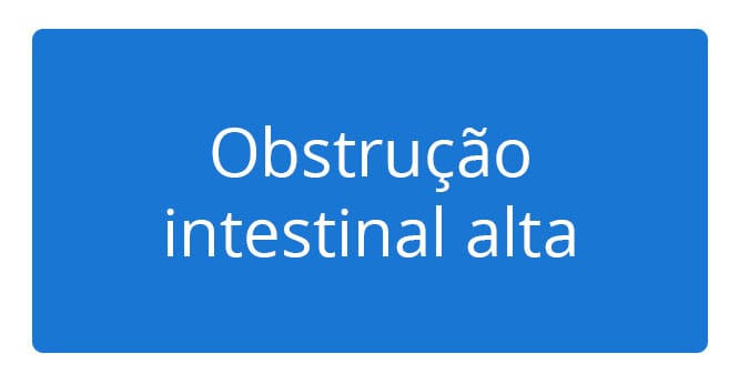 Obstrução intestinal alta