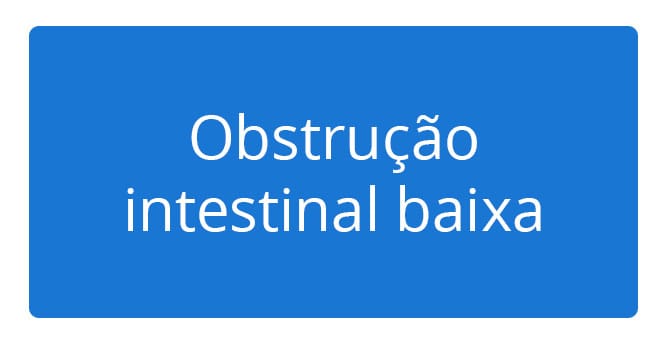 Obstrução intestinal baixa