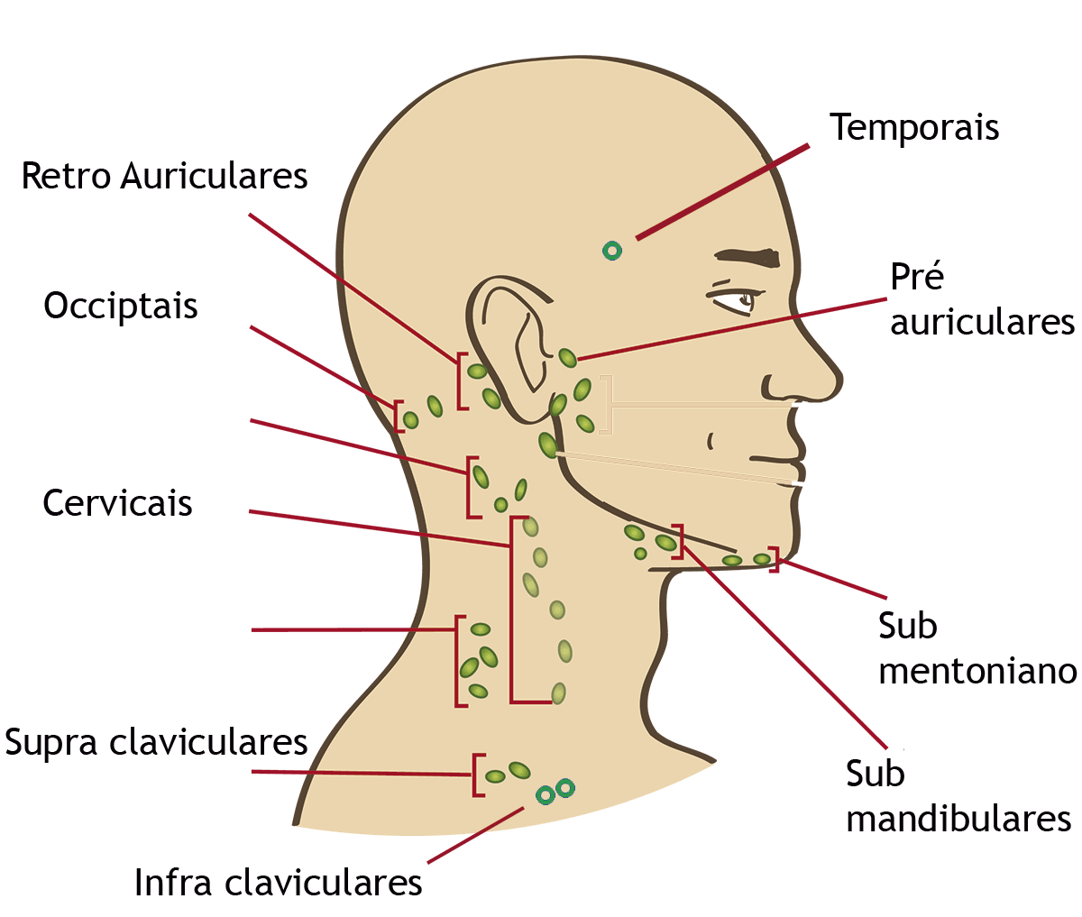 Drenagem Linfática Manual 