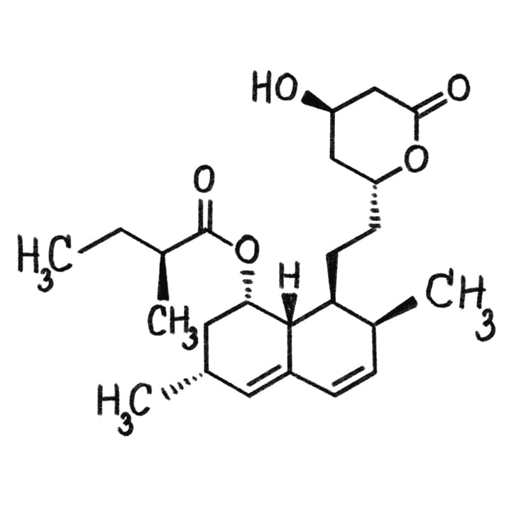 Fonte: PNOIARSA / Shutterstock.com