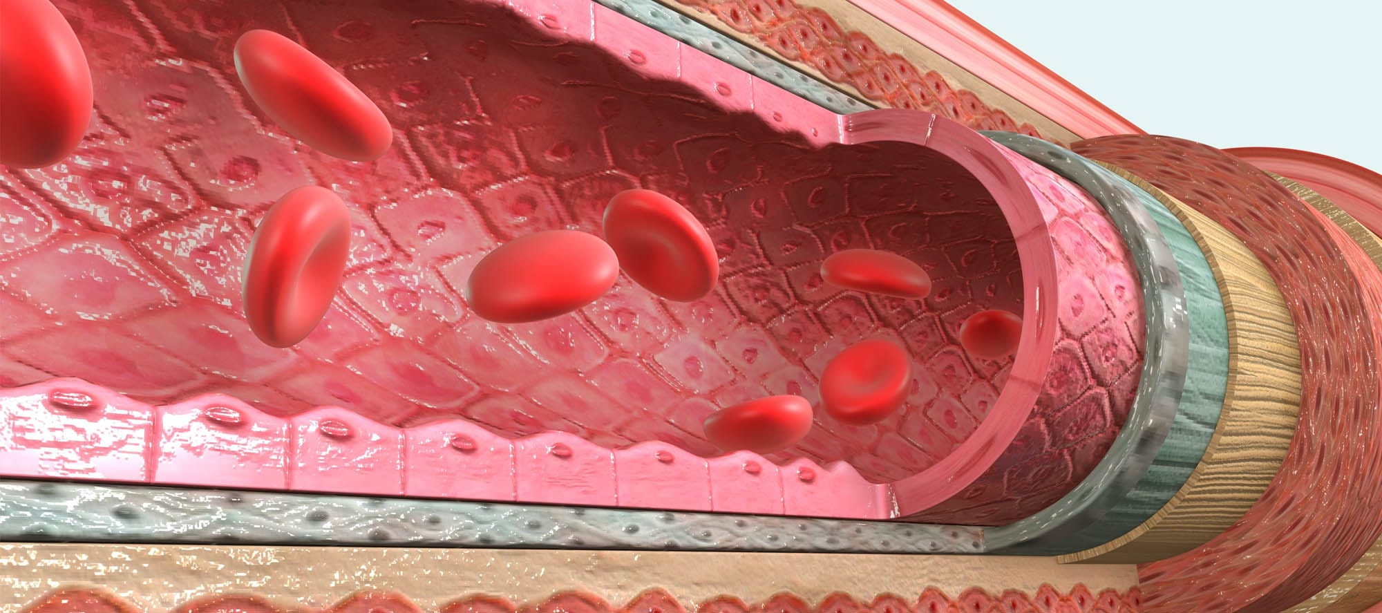 Fonte: sciencepics / Shutterstock.com