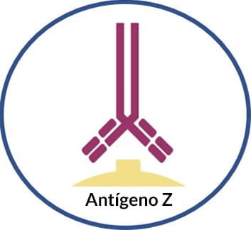 Fonte: Anônimo