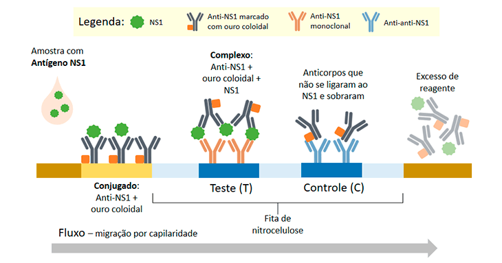 Explicar Os M Todos Laboratoriais Imunol Gicos Com Reagentes Marcados An Lises Cl Nicas